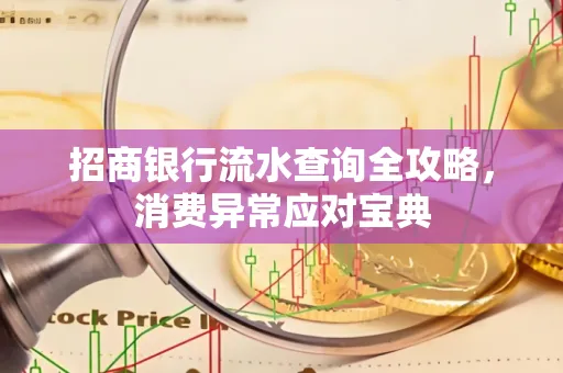 招商银行流水查询全攻略,消费异常应对宝典
