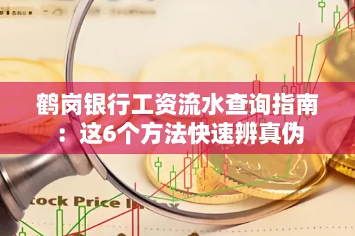 鹤岗银行工资流水查询指南:这6个方法快速辨真伪