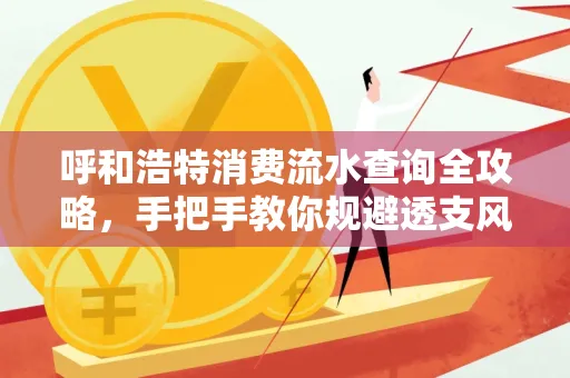 呼和浩特消费流水查询全攻略,手把手教你规避透支风险