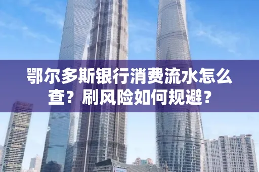 鄂尔多斯银行消费流水怎么查?刷风险如何规避?