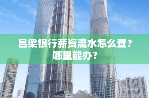 吕梁银行薪资流水怎么查?哪里能办?