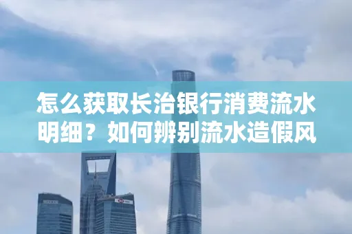 怎么获取长治银行消费流水明细？如何辨别流水造假风险？