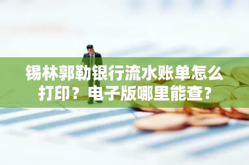 锡林郭勒银行流水账单怎么打印?电子版哪里能查?