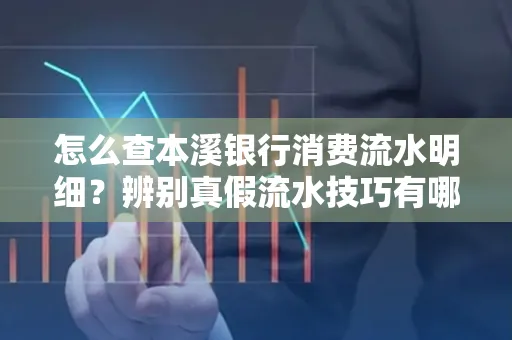 怎么查本溪银行消费流水明细?辨别真假流水技巧有哪些?