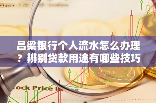 吕梁银行个人流水怎么办理?辨别贷款用途有哪些技巧?
