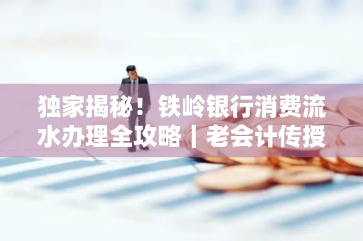 独家揭秘!铁岭银行消费流水办理全攻略|老会计传授防诈技巧