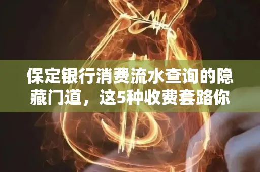 保定银行消费流水查询的隐藏门道,这5种收费套路你知道几个?