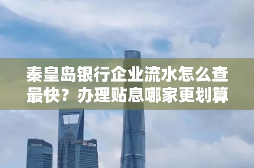 秦皇岛银行企业流水怎么查最快?办理贴息哪家更划算?
