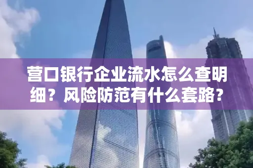 营口银行企业流水怎么查明细？风险防范有什么套路？