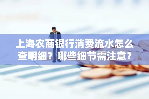 上海农商银行消费流水怎么查明细？哪些细节需注意？