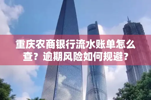 重庆农商银行流水账单怎么查?逾期风险如何规避?