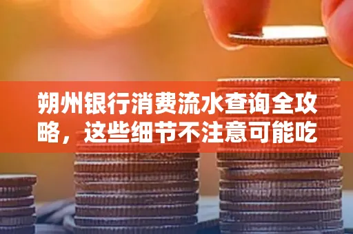 朔州银行消费流水查询全攻略,这些细节不注意可能吃大亏
