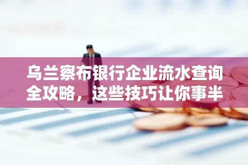 乌兰察布银行企业流水查询全攻略,这些技巧让你事半功倍