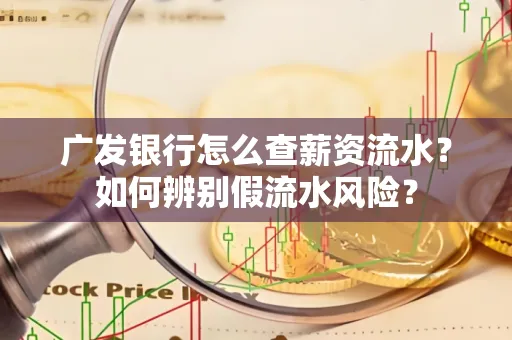 广发银行怎么查薪资流水？如何辨别假流水风险？