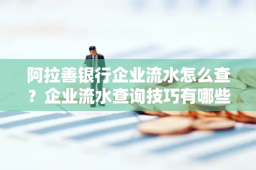 阿拉善银行企业流水怎么查?企业流水查询技巧有哪些?