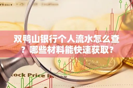 双鸭山银行个人流水怎么查？哪些材料能快速获取？