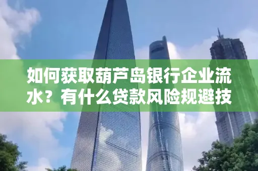 如何获取葫芦岛银行企业流水?有什么贷款风险规避技巧?