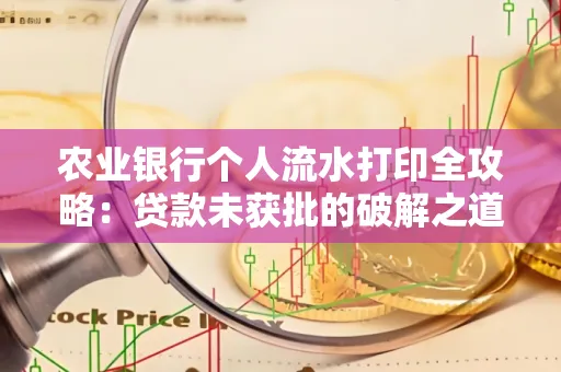 农业银行个人流水打印全攻略:贷款未获批的破解之道