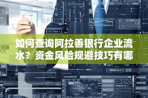 如何查询阿拉善银行企业流水?资金风险规避技巧有哪些?