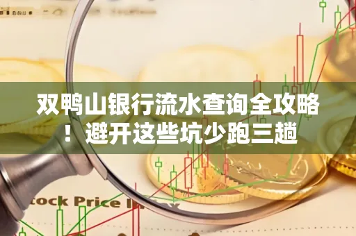 双鸭山银行流水查询全攻略!避开这些坑少跑三趟