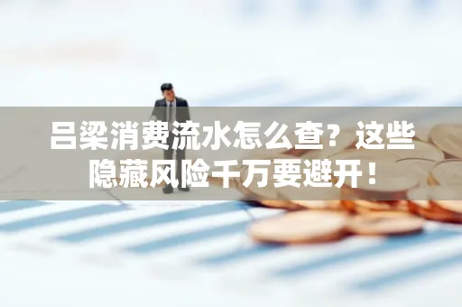 吕梁消费流水怎么查?这些隐藏风险千万要避开!
