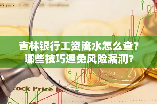 吉林银行工资流水怎么查?哪些技巧避免风险漏洞?