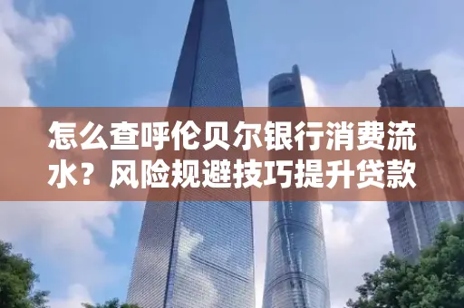 怎么查呼伦贝尔银行消费流水?风险规避技巧提升贷款率?